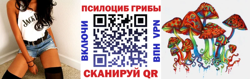 Купить где  Междуреченск  Галлюциногенные грибы Cubensis 